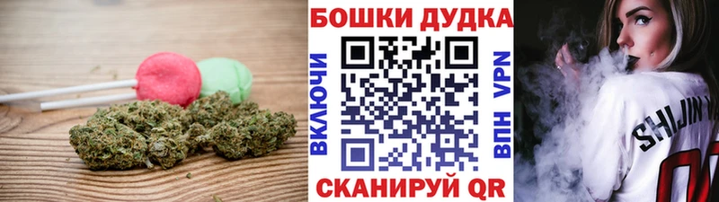 наркошоп  Луга  дарк нет наркотические препараты  Cannafood марихуана 