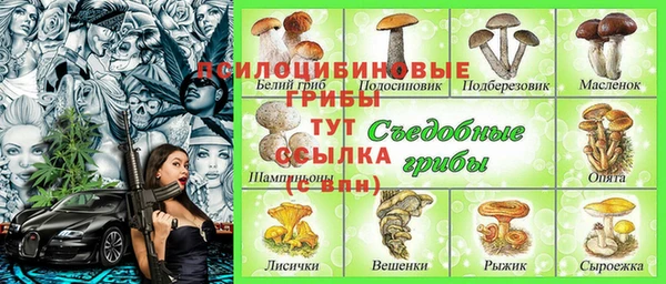 индика Абинск