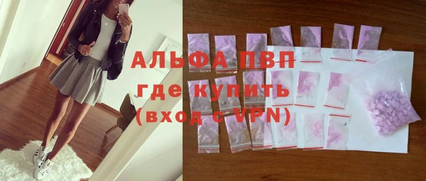 индика Абинск