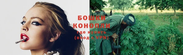 стафф Новодвинск