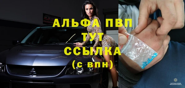 индика Абинск