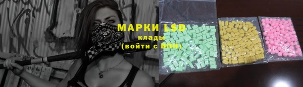 индика Абинск