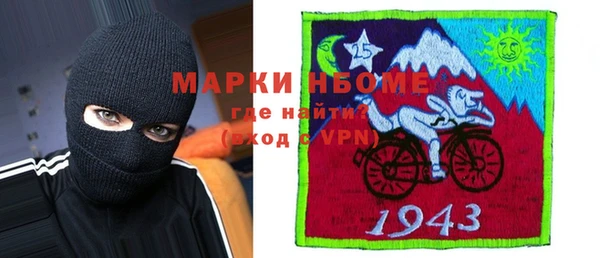 индика Абинск