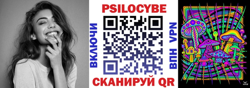 что такое   Луга  Псилоцибиновые грибы Cubensis 